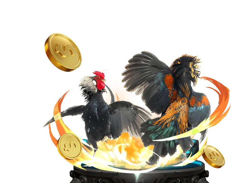 Cá cược thể thao tại kbet